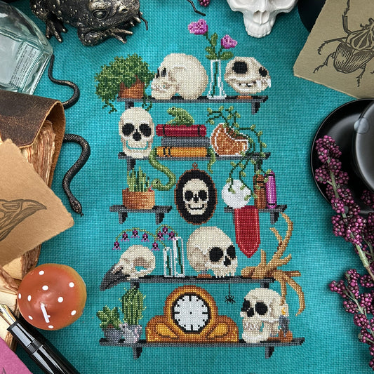 A Study of Skulls