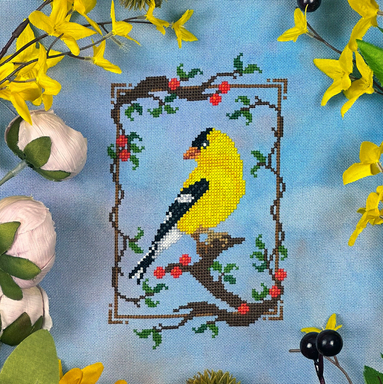 Summer Goldfinch ('26 Nashville)