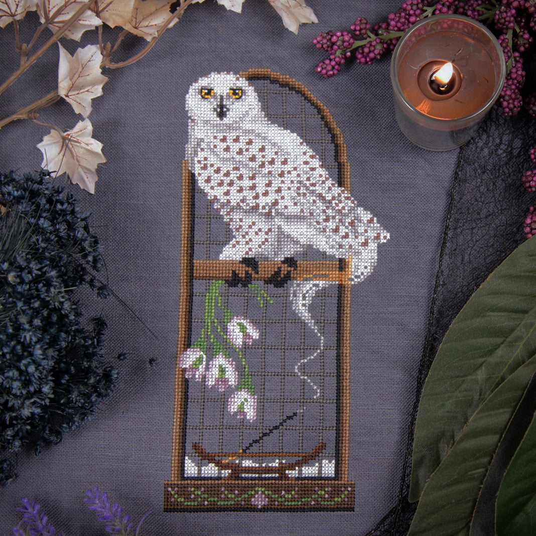 Snowdrop Owl